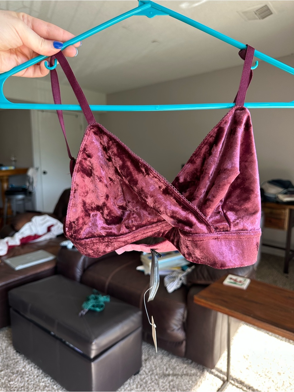 Anthropologie Velvet Wireless Bralette in Wine